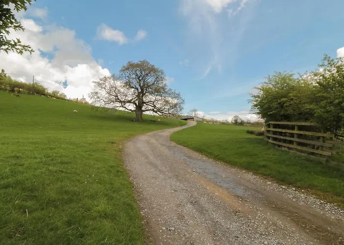 Holiday home Sheep Cote Shepherds Hut