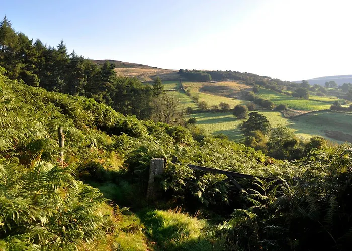 Sheep Cote Shepherds Hut *