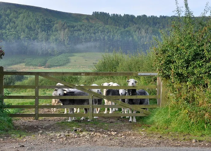 Sheep Cote Shepherds Hut 펜션