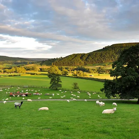 Sheep Cote Shepherds Hut *