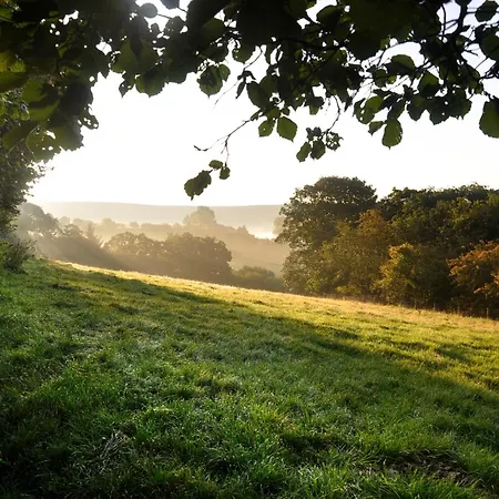 Ferienhaus Sheep Cote Shepherds Hut