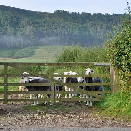 Sheep Cote Shepherds Hut Ferienhaus