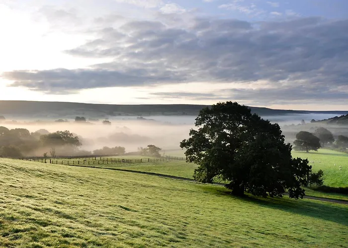 Sheep Cote Shepherds Hut * Middlesbrough