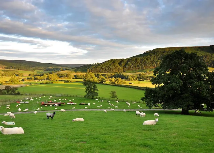 Sheep Cote Shepherds Hut *