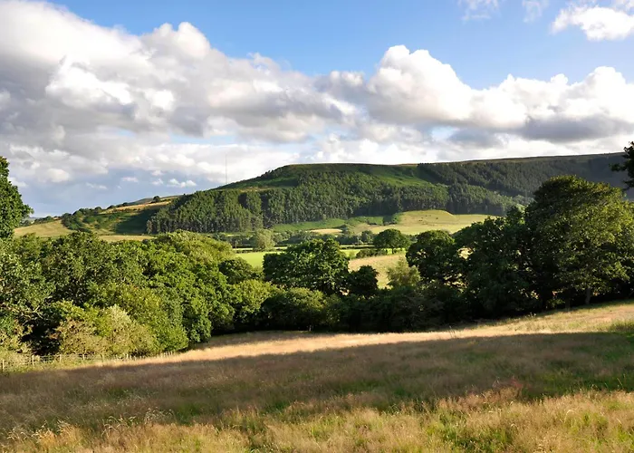 Sheep Cote Shepherds Hut Vakantiehuis *
