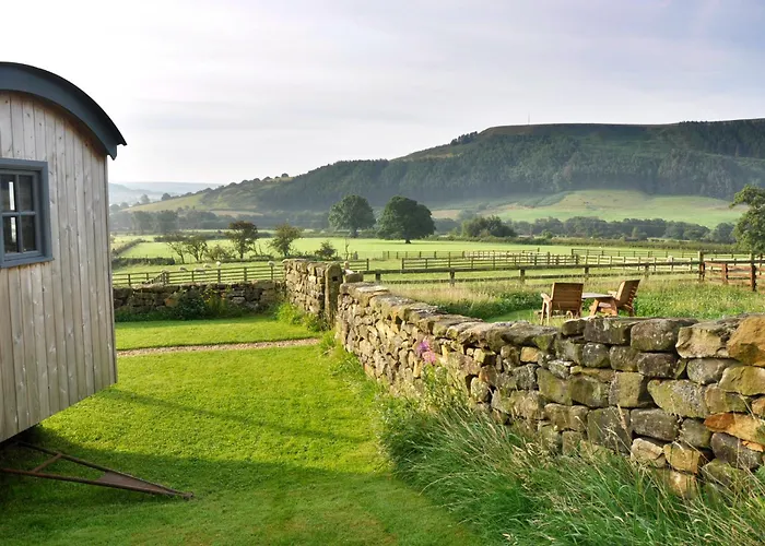 Vakantiehuis Sheep Cote Shepherds Hut Middlesbrough