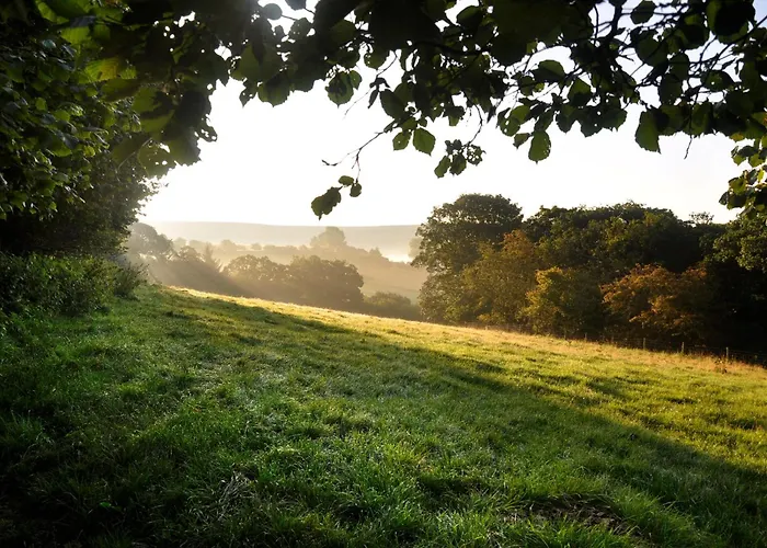 Vakantiehuis Sheep Cote Shepherds Hut