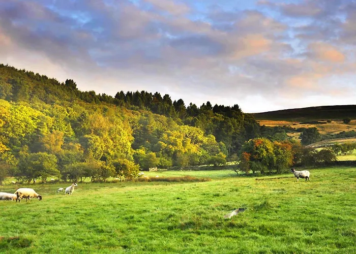 Vakantiehuis Sheep Cote Shepherds Hut *