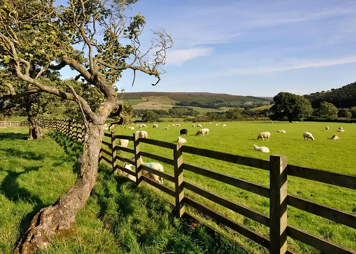 Vakantiehuis Sheep Cote Shepherds Hut